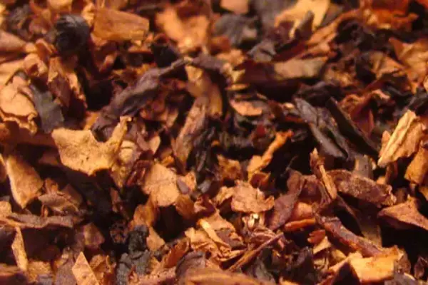 Imagen predeterminada