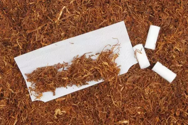 Imagen predeterminada